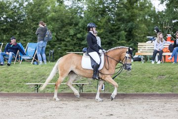 Bild 185 - Pony Akademie Turnier